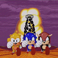 SegaSonic the Hedgehog : vid�o 