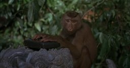 Cameo : la Game Gear dans Surf Ninjas (1993)